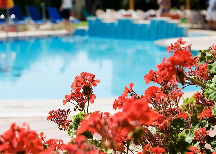 Hotel apartamentowy Begonville