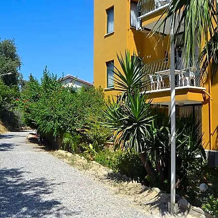 Begonville Σιντέ