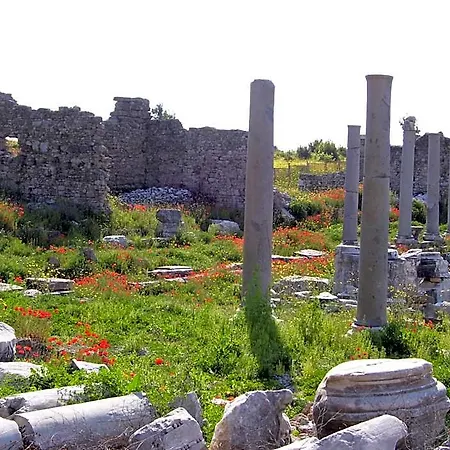 Begonville شقة فندقية